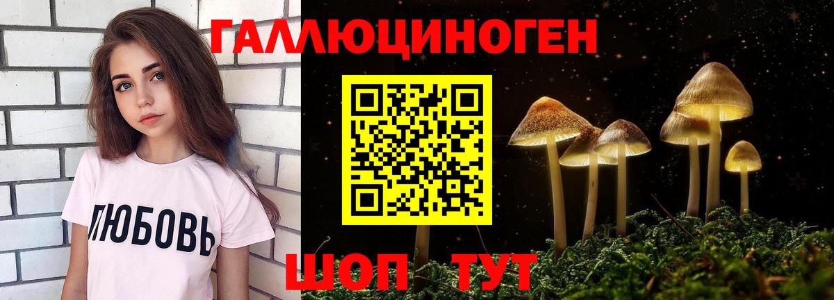 Курчатов  Псилоцибиновые грибы MAGIC MUSHROOMS  Вход с VPN 